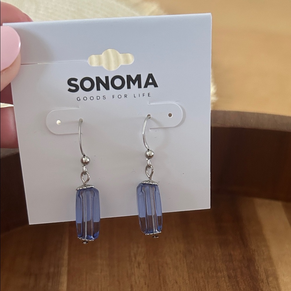 Sonoma Light Blue Dangle Earrings
